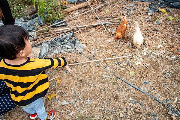 【日月潭一日遊】南投頭社活盆地農村美食餐桌與休閒農場-體驗不一樣的在地食材美味佳餚與獨特河道獨木舟體驗