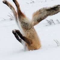 ぜんゆる  ‼️‼️