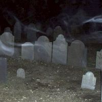 那些奇異大小事