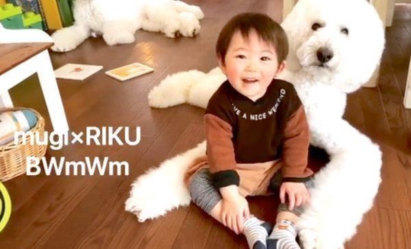 人気犬 男の子 のほっこり動画に大反響
