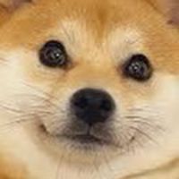 柴犬愛畫畫