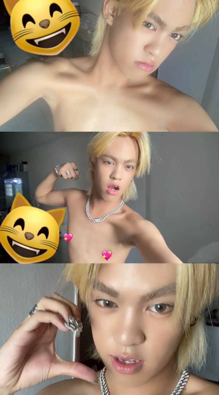 GINGER CAT 😺✨️ - PEAK FANCLUB