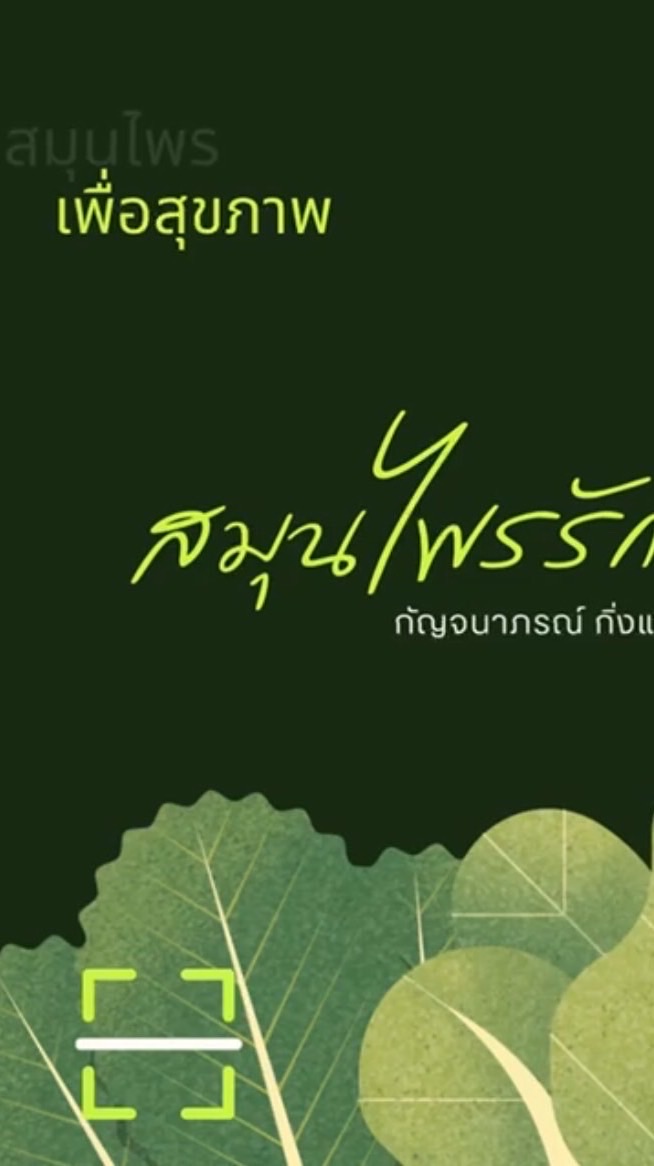 THAI​HERB​  ราชาสมุนไพร​  ความรู้​สมุนไพร​  เพื่อสุขภาพ​