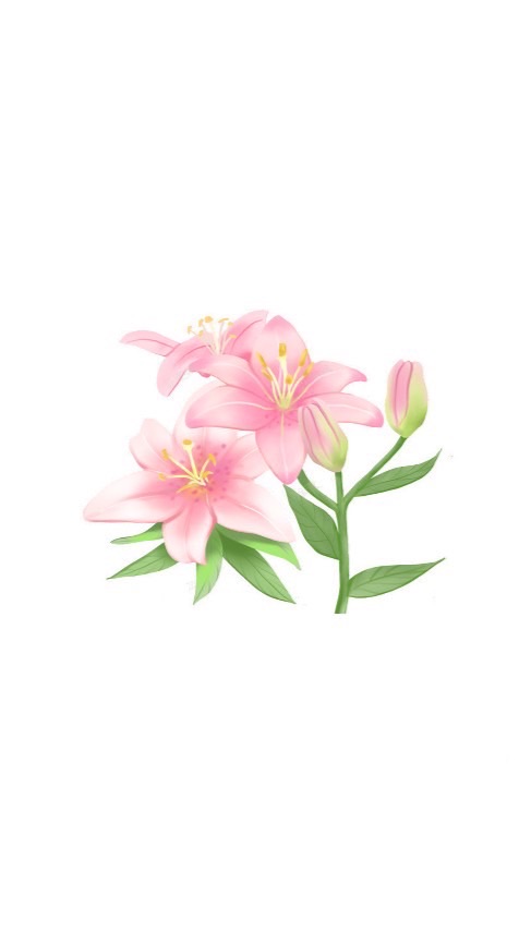 我愛百合班