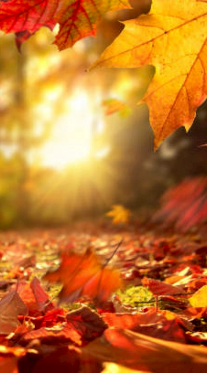 介護と看護の関係者の雑談部屋。介護士（介護職）/看護師（看護職）の方、雑談しませんか？