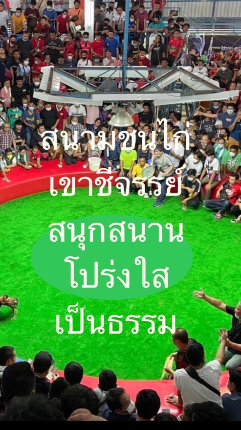 สนามชนไก่เขาชีจรรย์ V2