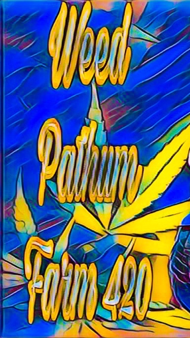 WeedPathumFarm420