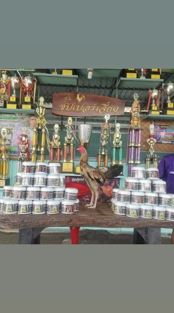 เทพฟ้าประทาน 88
