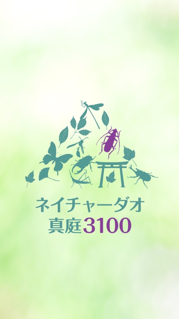 ネイチャーダオ真庭3100