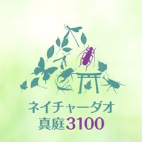 ネイチャーダオ真庭3100