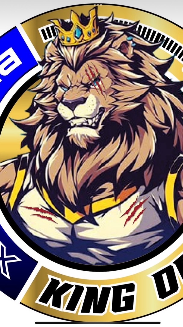KING  OF  FIGHT