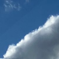 小学、中学生限定お話会.ᐟ.ᐟ八斎會植民地。