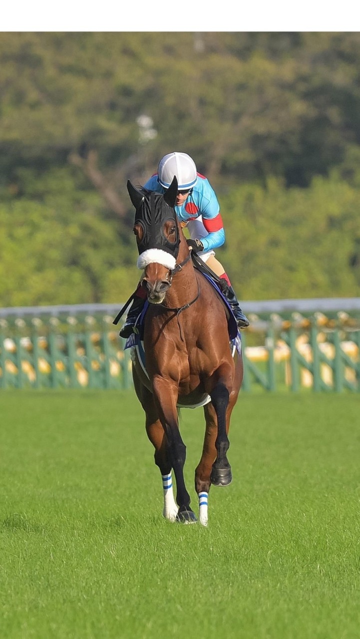 競馬予想のオープンチャット