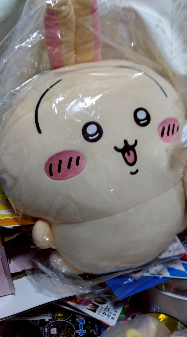 一生ウサギ推し💜