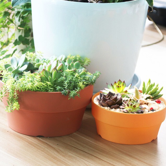 材質│ 塑膠 規格│ 大號口徑約16*高8.5*底12.5cm 說明│ 不含裝飾景觀及植株，每台電腦手機因螢幕顯示可能造成色差