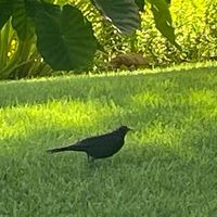 鉄アド交流会（？）