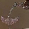 ホス狂〜好きって言って〜