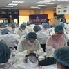 考生紋繡考核IICE&IBEE&朵蕾米