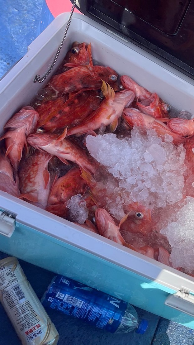 宜蘭手釣、船釣新鮮魚貨