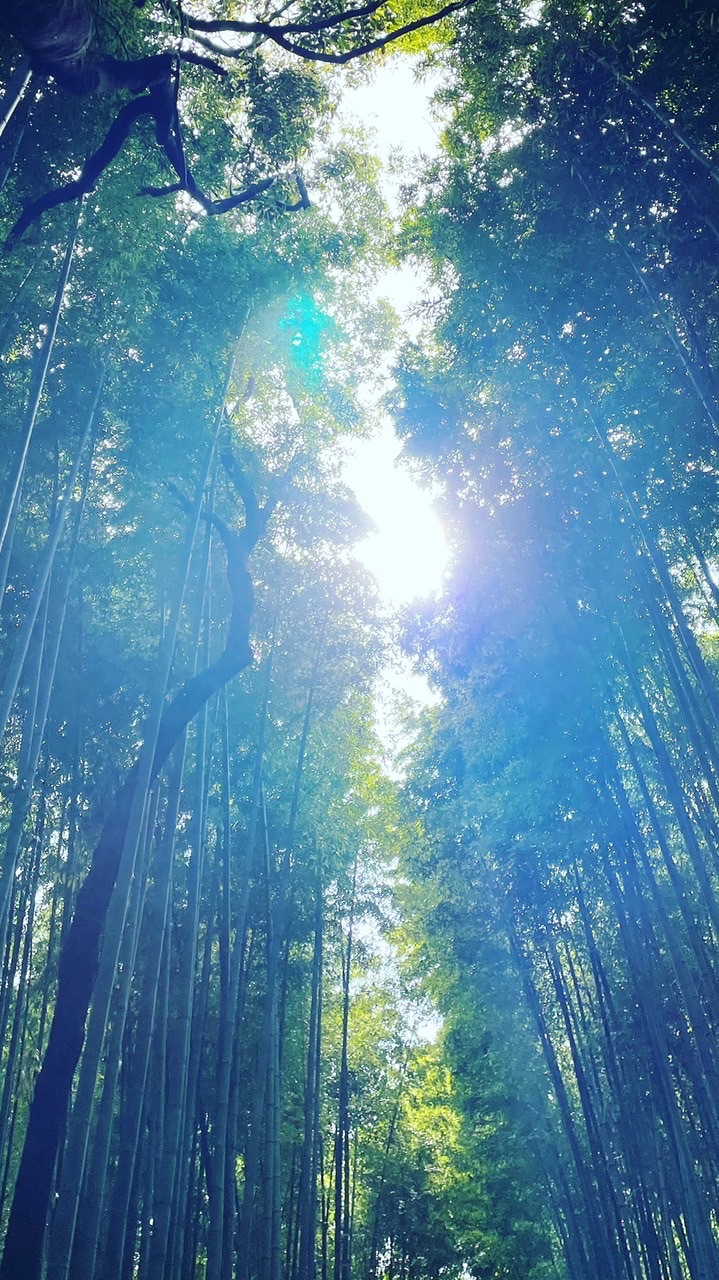 COSMO庵