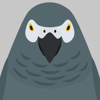 ヨウムの会