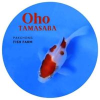 Oho TAMASABA Fish Farm 🎏