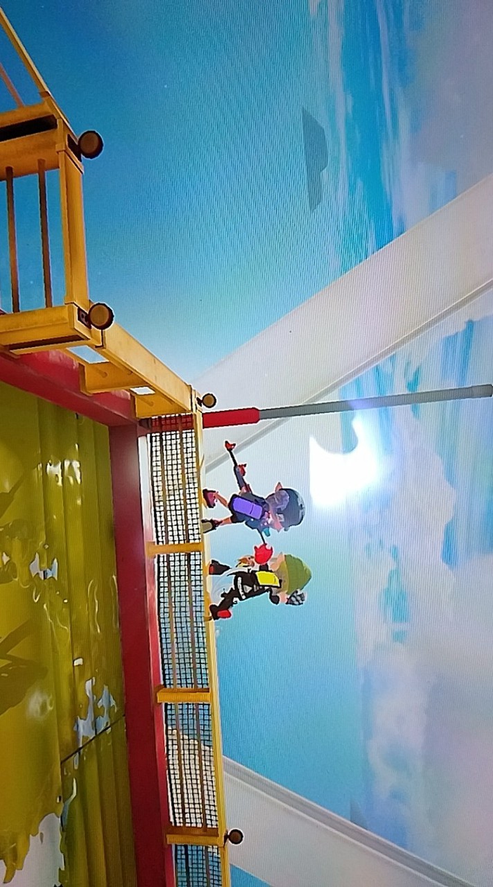 スプラトゥーン3　イカップル作ろうよ！