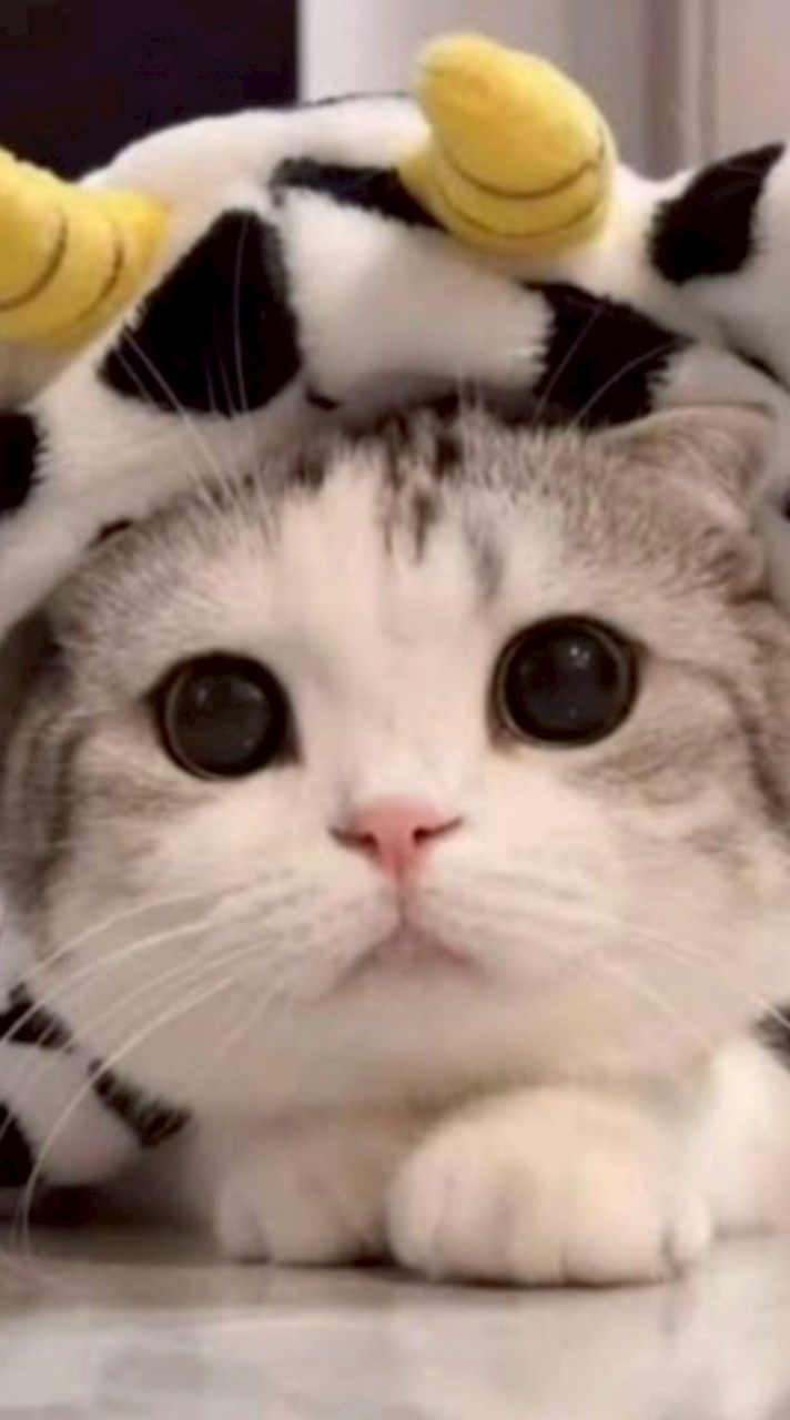 ✯⁠หาเพื่อนคุยเล่น✯