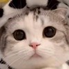 ✯⁠หาเพื่อนคุยเล่น✯