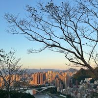 國內外旅遊/清倉機票團體旅遊