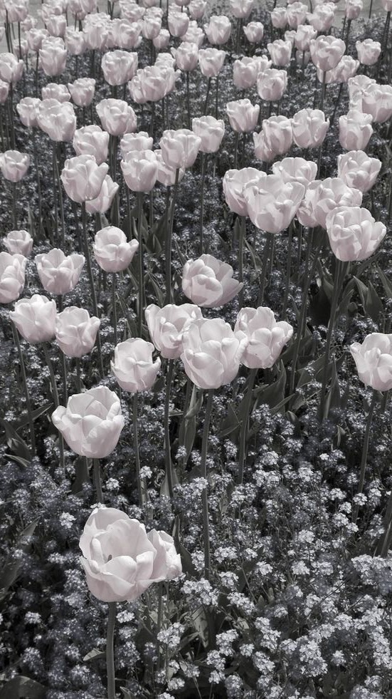𝒋𝒖𝒔𝒕 𝒍𝒐𝒐𝒌 𝒂𝒕 𝒎𝒆  .
