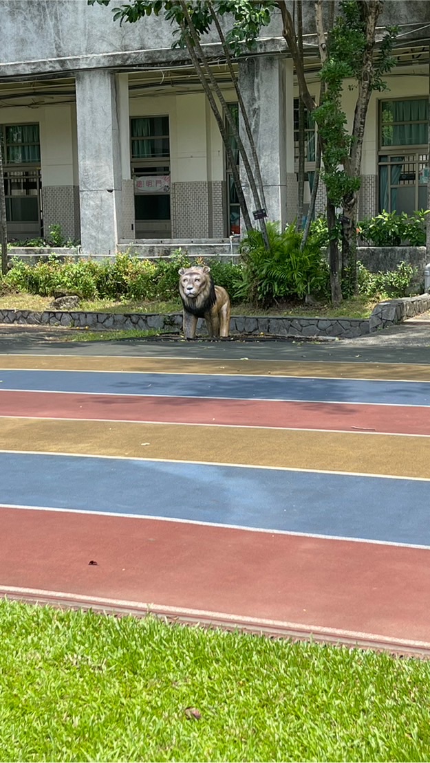 205東門國小二年五班❤️