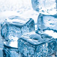 สังกัด [🧊•ICE] - VIBIE Family