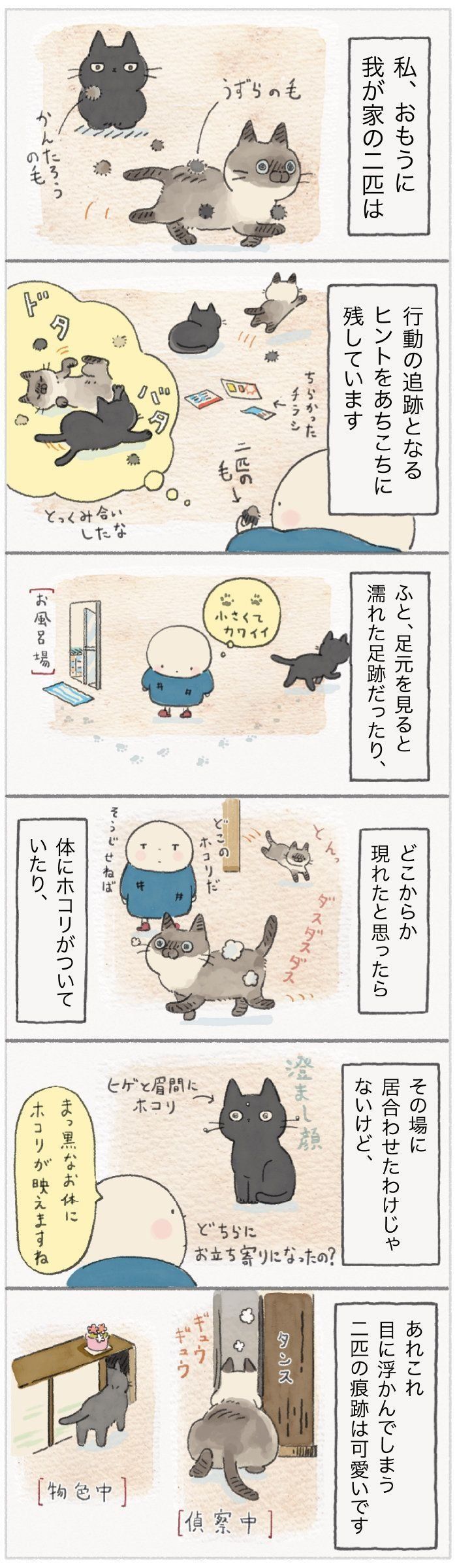 この痕跡は 猫が残す可愛いヒントに試される推理力