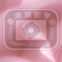 台灣攝影學會第33屆會員社群