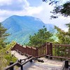 11/19觀霧一日遊，觀霧遊憩區中，最有名的景點為榛山森林浴步道，當中林木參天，豎立道路兩旁，是極輕