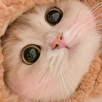 คุยเล่นน❤️😴