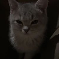 言霊って信じてる？