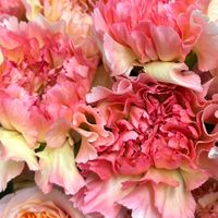 熊本第7期ハロートレーニング