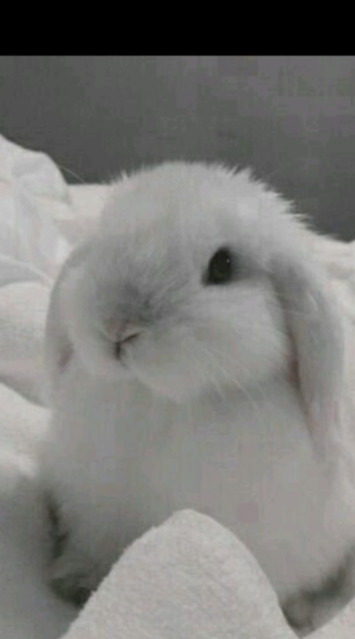 คุยไปเรื่อยเรืองของชาวบ้าน