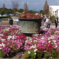 新森第3町会