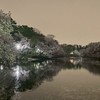 週初めを楽しもう！吉祥寺近辺でお茶会⭐︎月火水メイン⭐︎