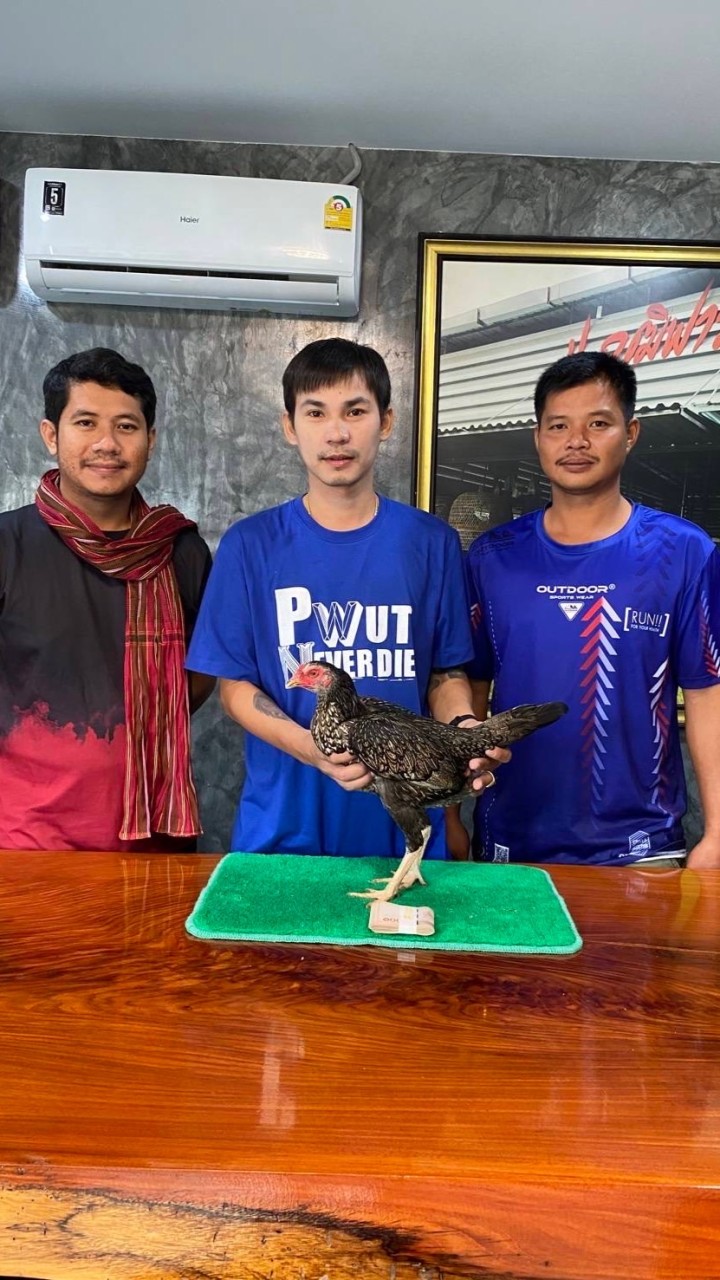 ซุ้ม ช.สิบทิศ ร้อยเอ็ด