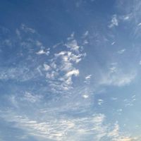 学生限定　「心の相談室」