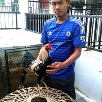 ส.หาญ ฟาร์ม ไก่ชนพม่าตีเชิง