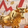 散戶集中營