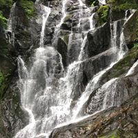 イチデン　業務用