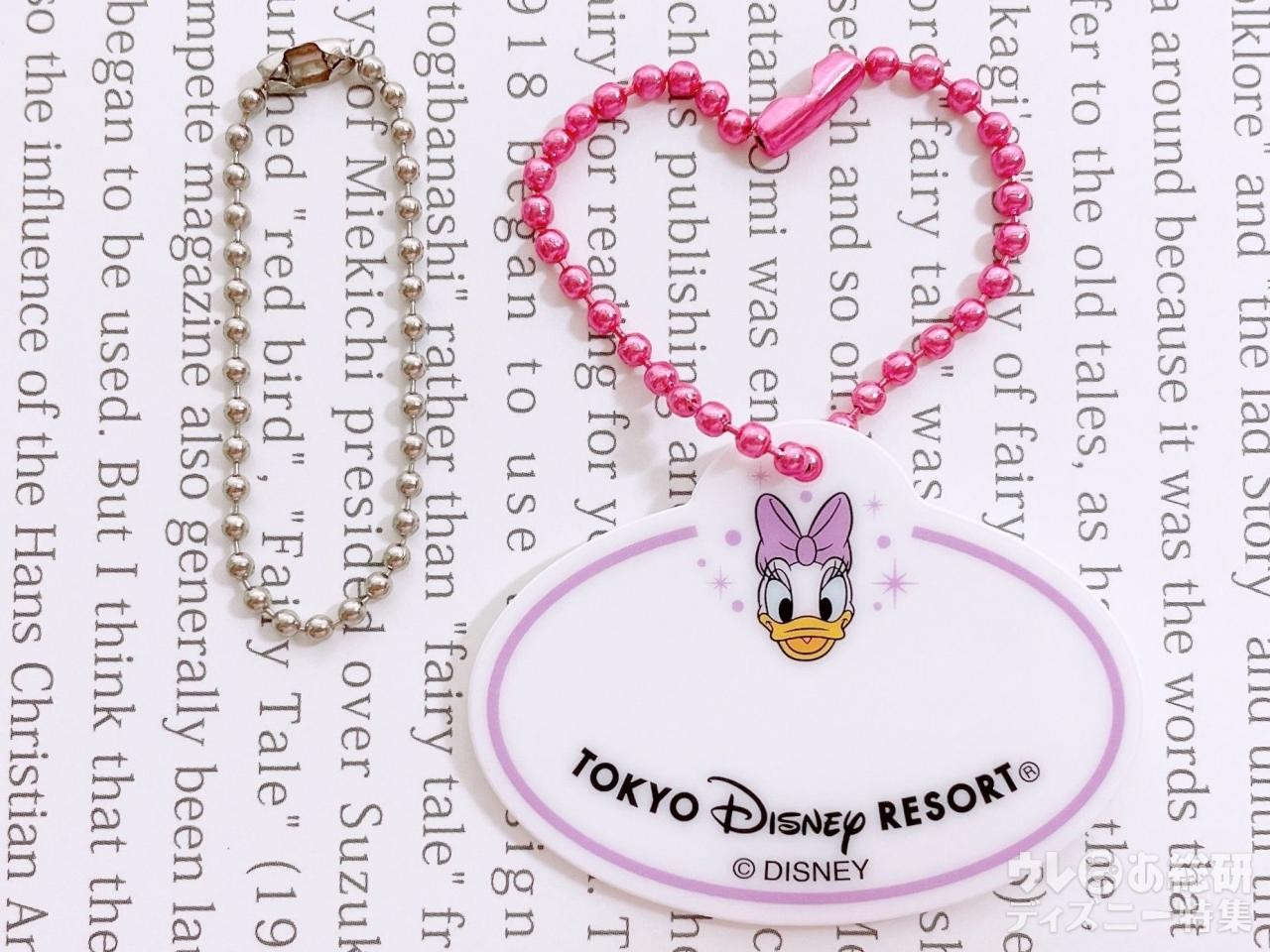 リメイク＆活用アイデア【東京ディズニーリゾート】「ネーム