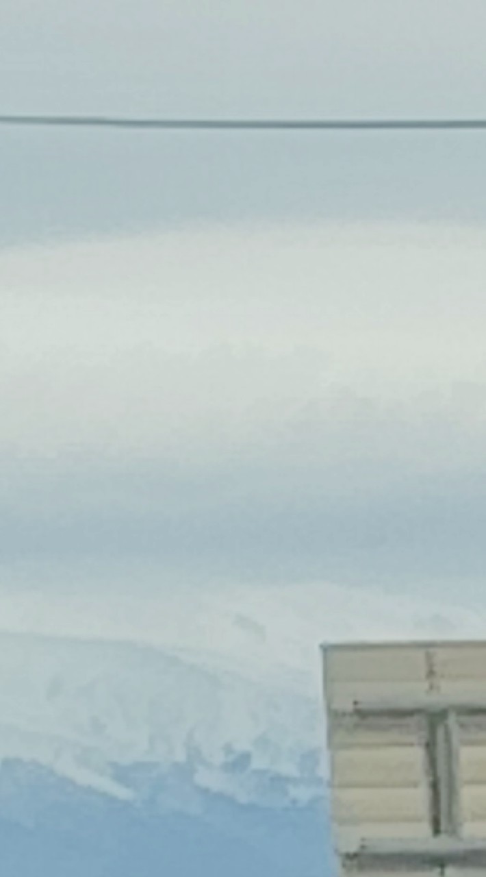 日焼けらっこアンチ会