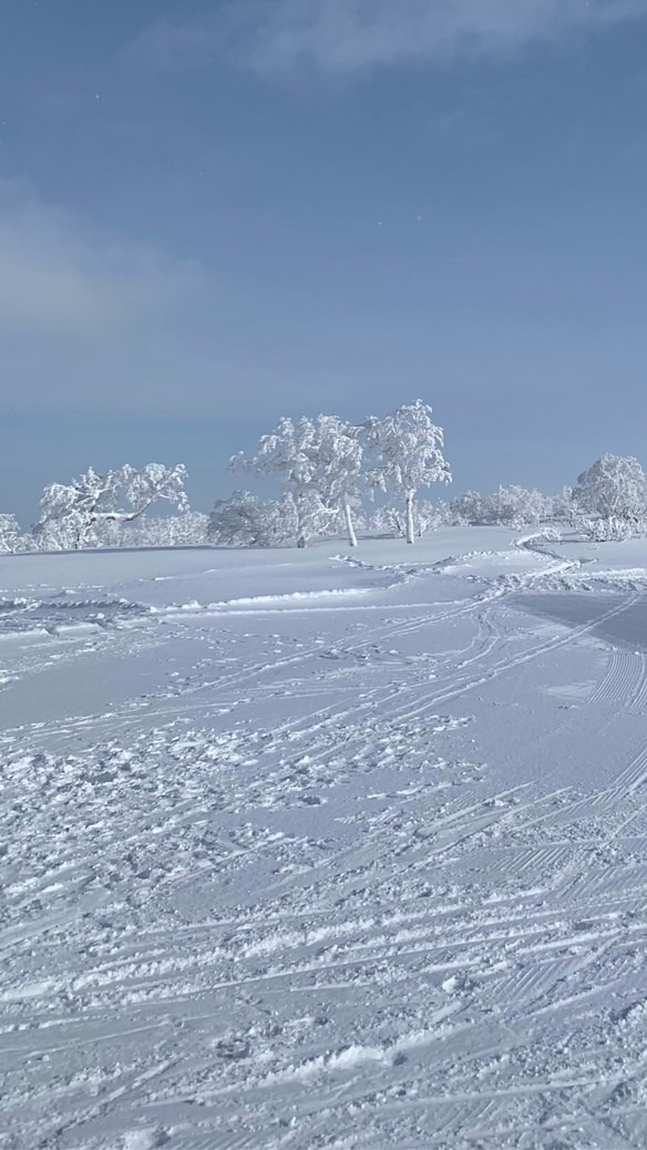 北海道大人のスノーボーダーのたまり場